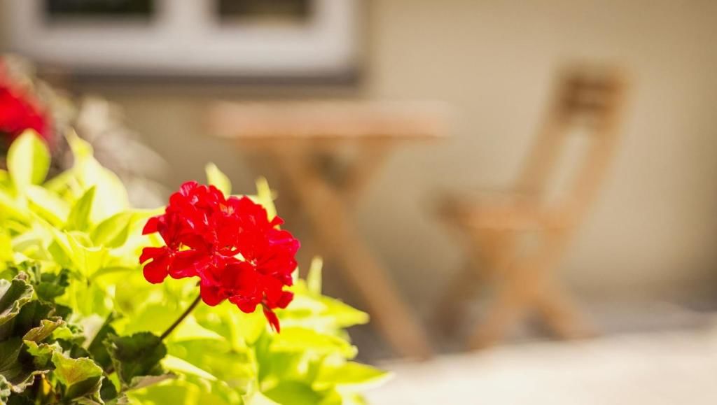 Апартаменты Vilnius Private Stay Вильнюс